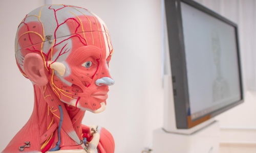 Vestibular Acafe: UnC abre inscrições para curso de Medicina