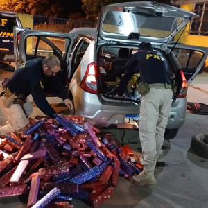 Homem é preso transportando mais de 200 quilos de maconha