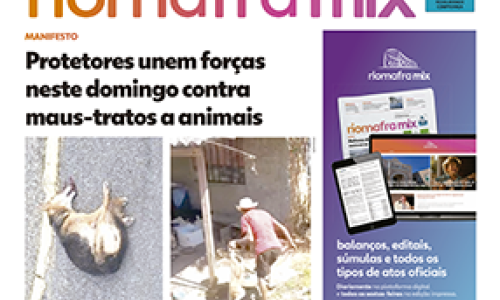 Edição 313