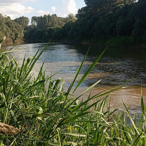 Homens desaparecem nas águas do rio Negro